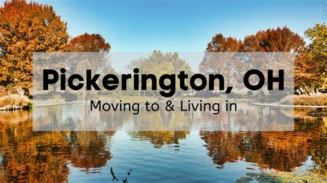 Exploring the Magical Forests of Mountain Pickerington: A Nature Lover's Dream